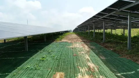 Proyecto Piedras I y II - Vista 7